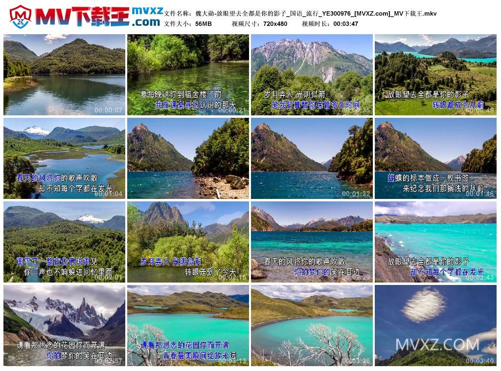 魏大勋-放眼望去全都是你的影子_国语_流行_YE300976